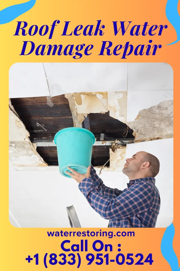 Roof Leak Water Damage Repair in Kyle, TX