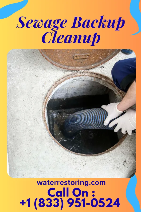 Sewage Backup Cleanup in Kyle, TX