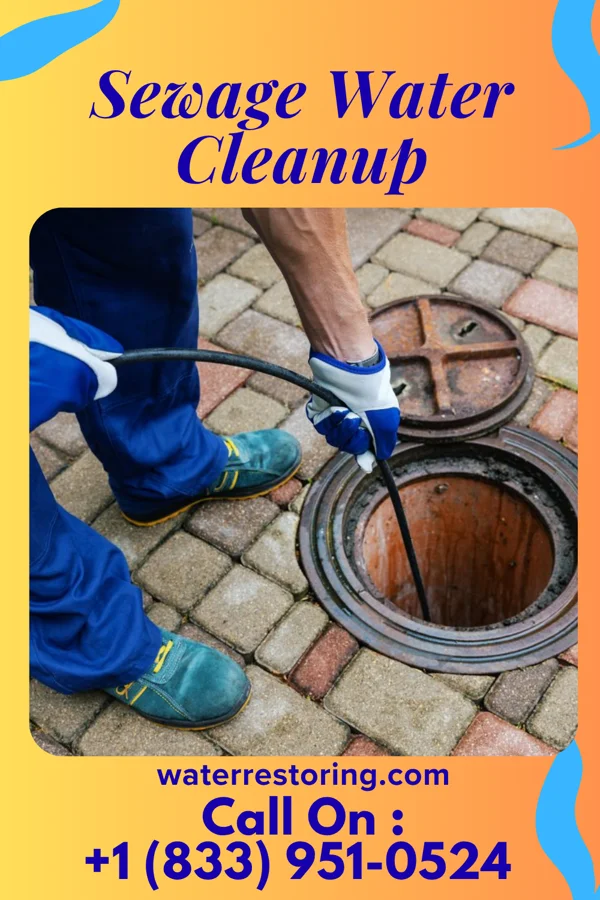 Sewage Water Cleanup in Kyle, TX